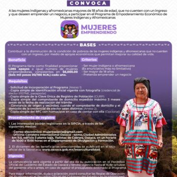 Convocan a participar en el Programa de EmpoderamientoEconómico de Mujeres Indígenas y Afromexicanas