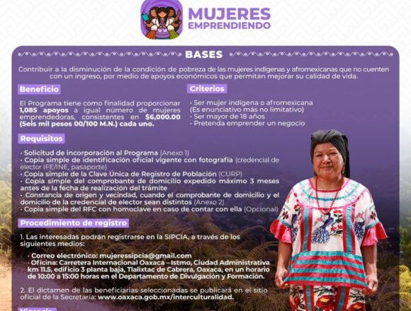 Convocan a participar en el Programa de EmpoderamientoEconómico de Mujeres Indígenas y Afromexicanas