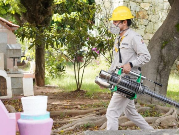 Reporta SSO 116 casos nuevos de dengue