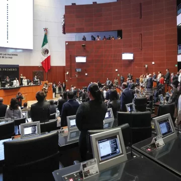 Plantean en el Senado evitar que se profundice la desigualdad con uso de inteligencia artificial 