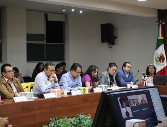 Presentan protocolo de consulta para personas con discapacidad en elecciones 2024 