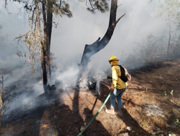 Coesfo liquida y controla cinco incendios en Oaxaca