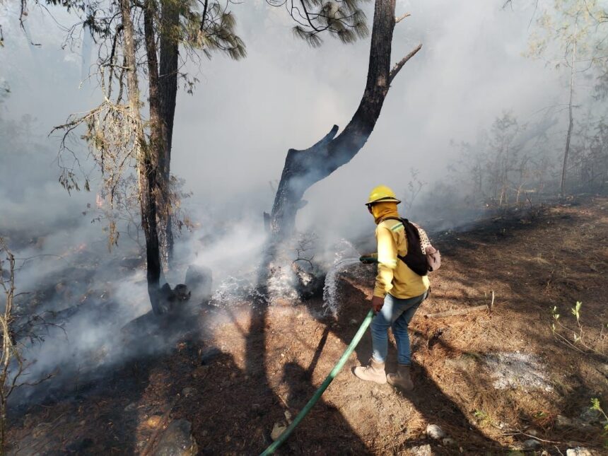 Coesfo liquida y controla cinco incendios en Oaxaca