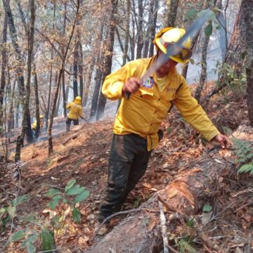 Controla Coesfo incendios en localidades de San Martín Peras