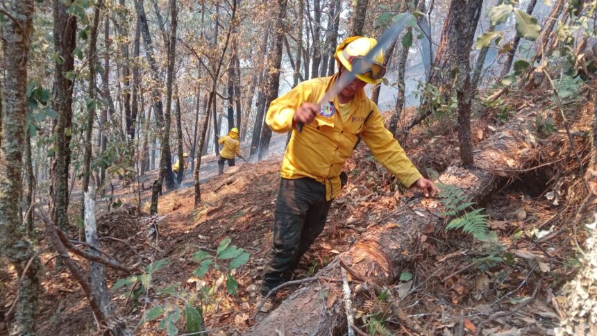 Controla Coesfo incendios en localidades de San Martín Peras