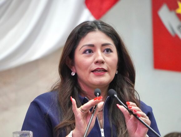 Diputada Liz Concha propone reforzar la seguridad para candidatas y candidatos