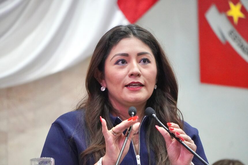 Diputada Liz Concha propone reforzar la seguridad para candidatas y candidatos