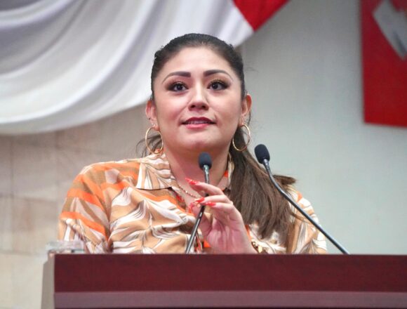 Propone Diputada Liz Concha el desarrollo social inclusivo para Oaxaca. 