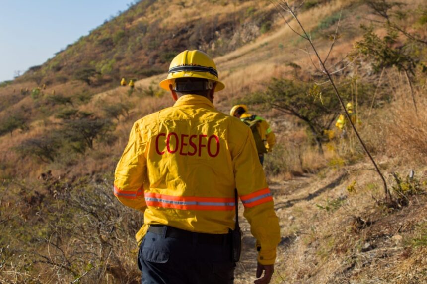 Atiende Coesfo reporte de incendio forestal en San Andrés Huayápam