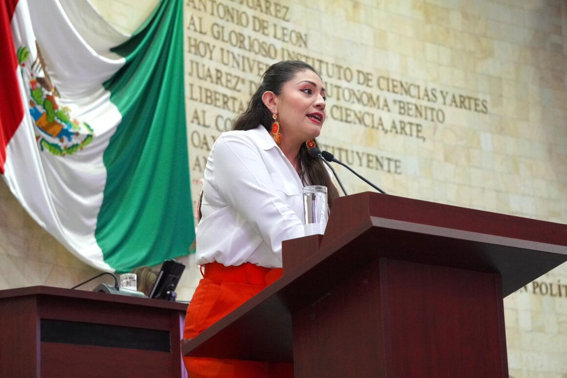 GKRT97dXgAAidim Diputada Liz Concha exhorta a autoridades a investigar y sancionar intervención política en apoyo a MORENA