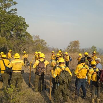 Continúa la atención de incendio forestal en San Francisco Telixtlahuaca