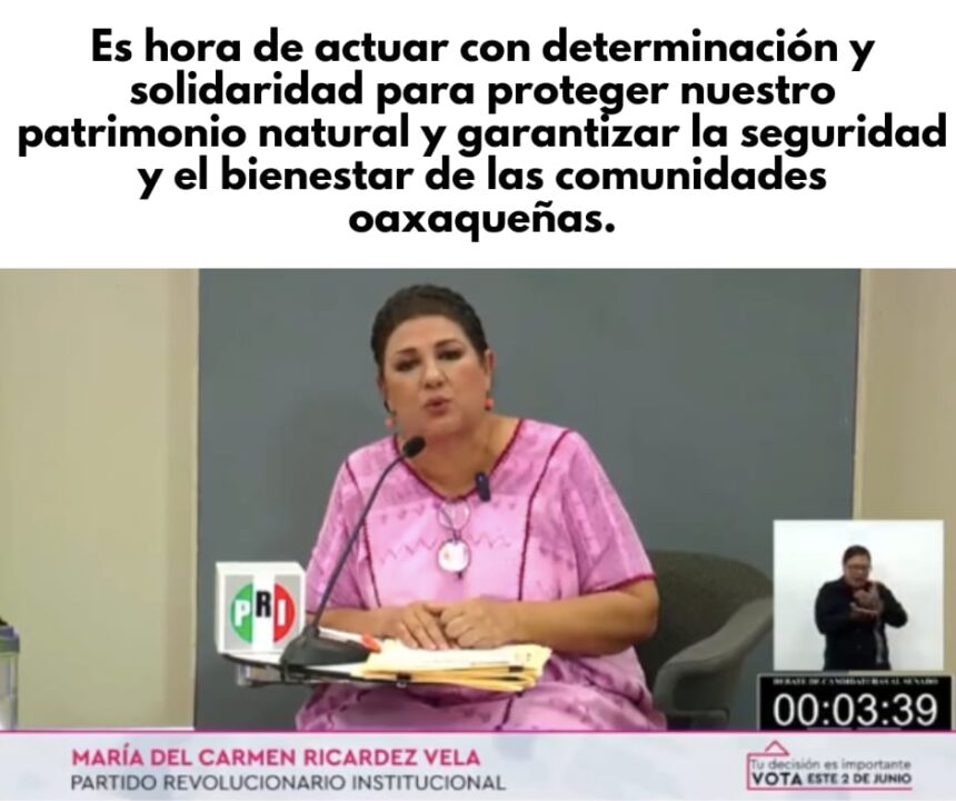 Carmelita Ricárdez propone soluciones ante la crisis de incendios forestales en Oaxaca y en el resto del País