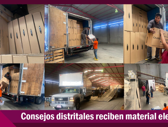 Avanza IEEPCO proceso Elecciones Oaxaca 2024
