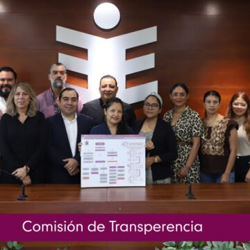 Entrega Comisión Temporal de Transparencia del IEEPCO material y procedimientos para registro y atención de solicitudes de información y datos personales