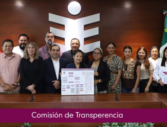 Entrega Comisión Temporal de Transparencia del IEEPCO material y procedimientos para registro y atención de solicitudes de información y datos personales