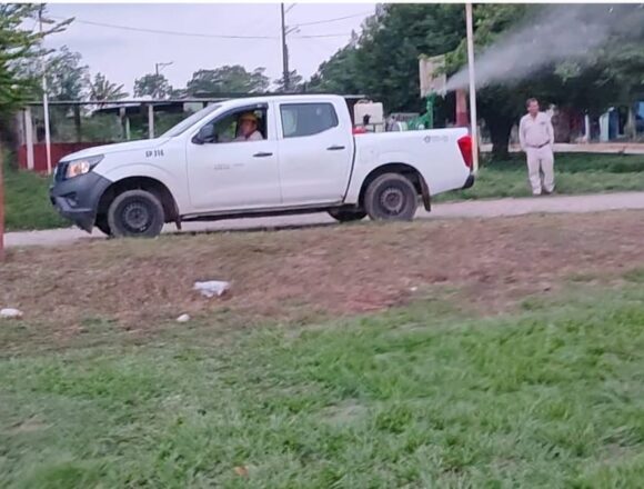 Combaten dengue con tamizaje de insecticidas