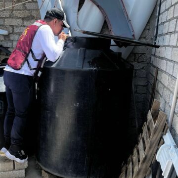 Registra SSO 149 casos nuevos de dengue