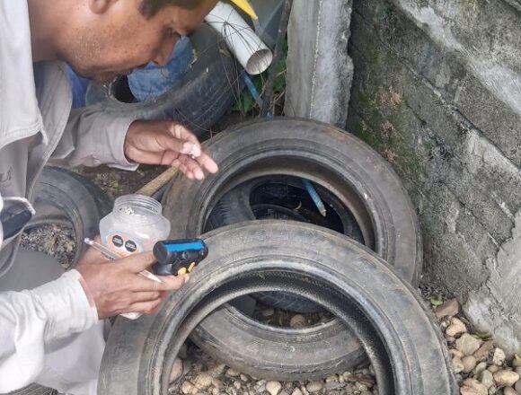 Llaman a seguir con acciones de patio y vivienda limpia