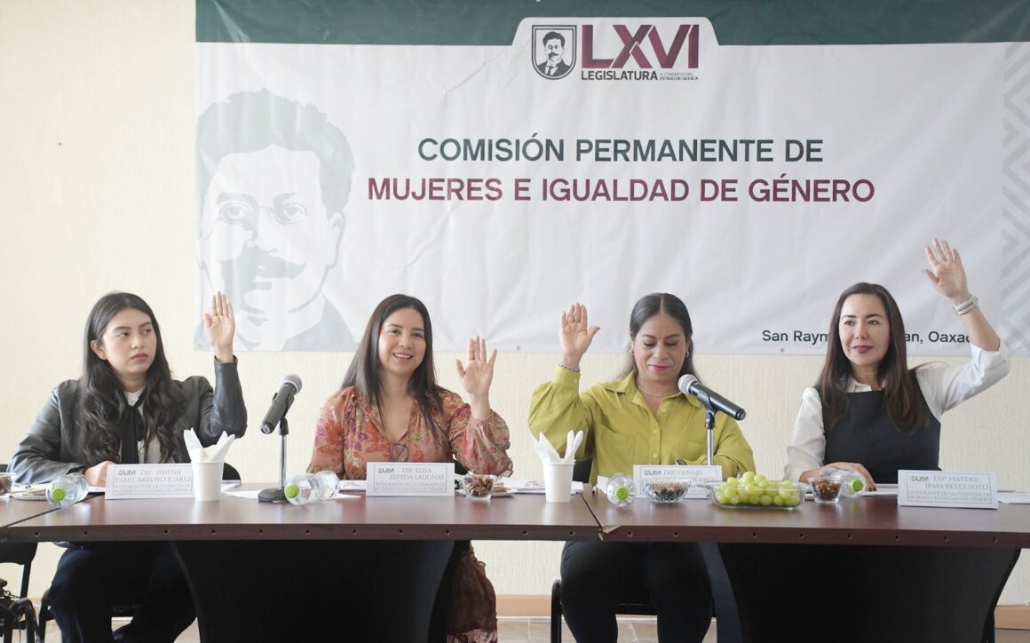 Sesiona Comisión Permanente de Mujeres e Igualdad de Género