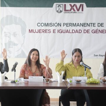 Sesiona Comisión Permanente de Mujeres e Igualdad de Género