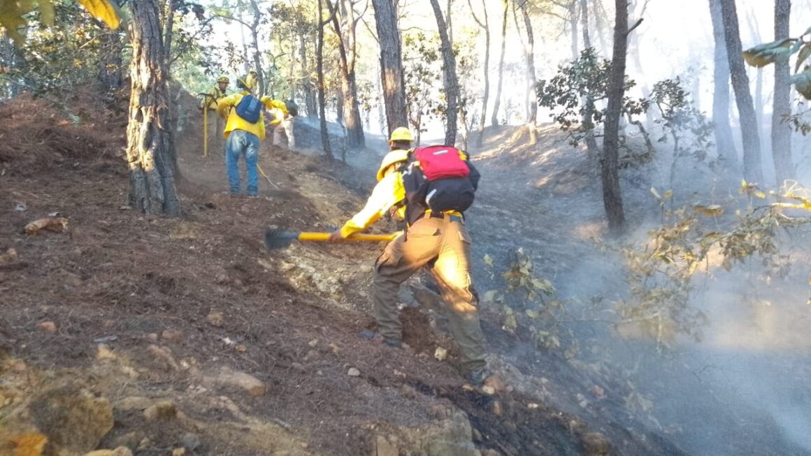Controla Coesfo incendio forestal en San Miguel Tilquiápam