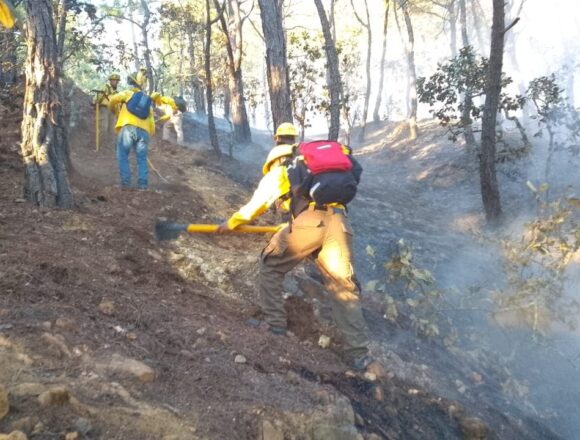 Controla Coesfo incendio forestal en San Miguel Tilquiápam