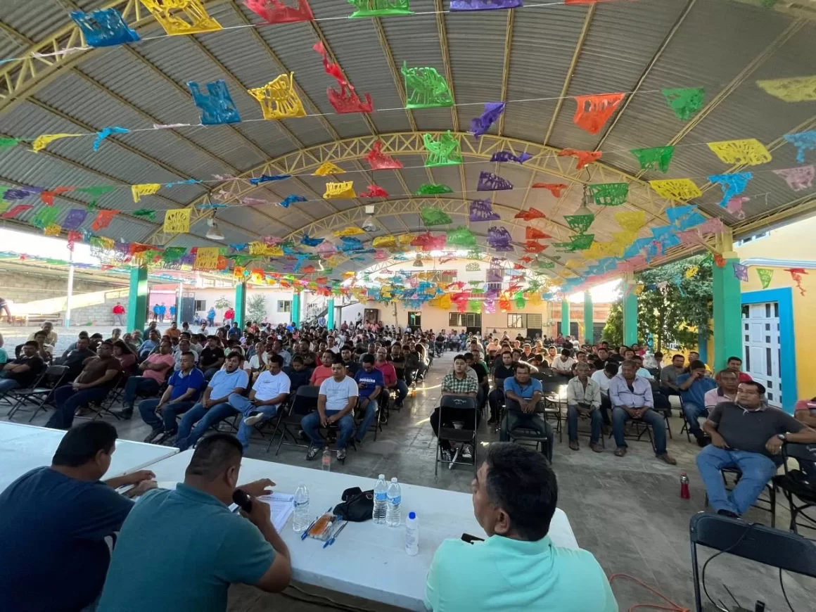 Interviene Gobierno de Oaxaca en liberación de tres personas en Nejapa de Madero