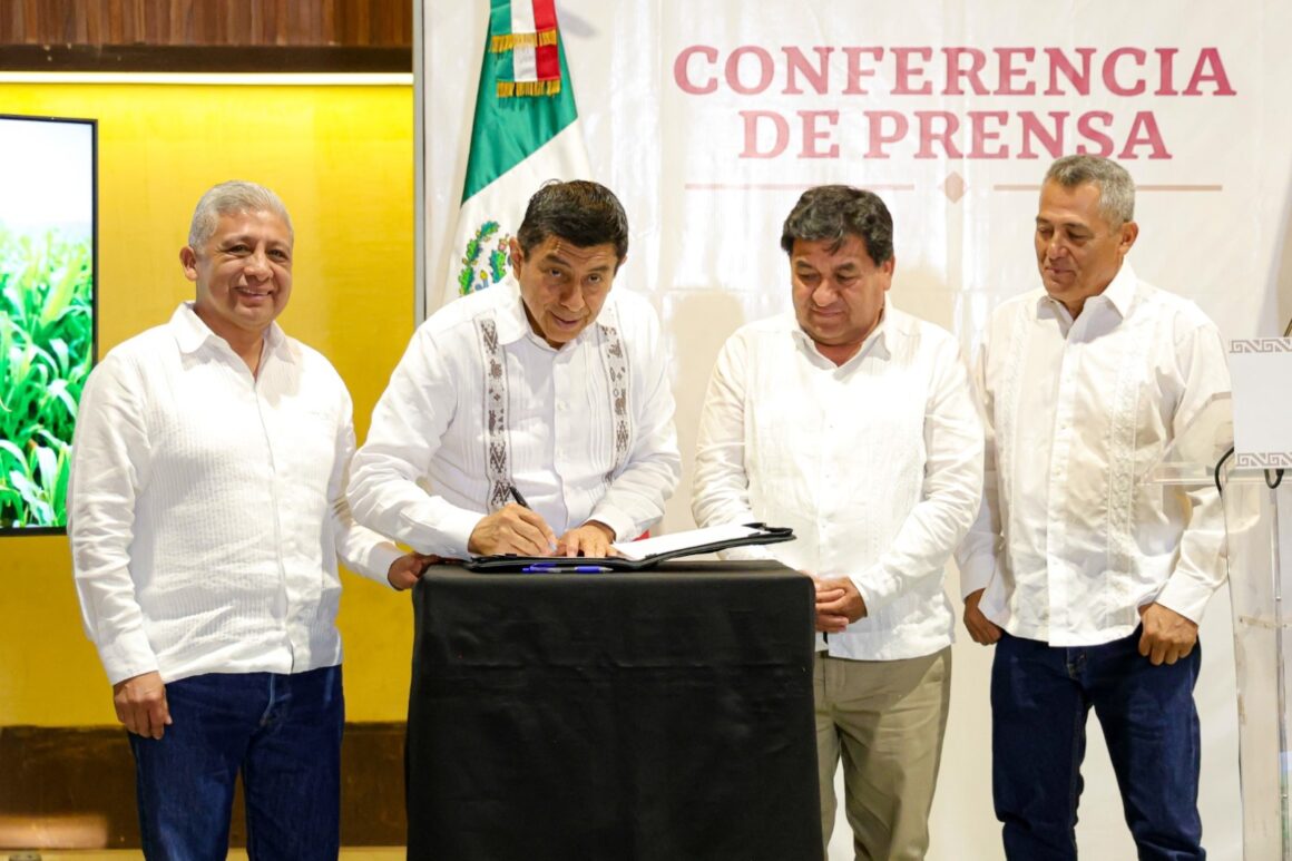 Oaxaca se une a la lucha contra el maíz transgénico e impulsa conservación del nativo