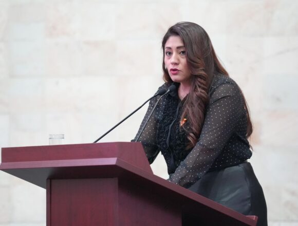 WhatsApp Image 2025-02-11 at 11.22.34 AM Que el bienestar para todas y todos sea un derecho constitucional: Liz Concha