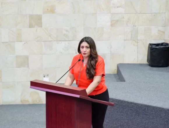 5f2449e0-4e1e-4aa4-926c-29ddb68d6e98 Impulsan la inclusión obligatoria de personas indígenas y afromexicanas en la Administración Pública Estatal