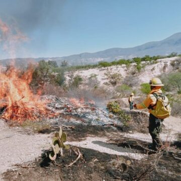 Protegen el Boquerón de Tonalá con apertura de 2 mil 700 metros de línea negra