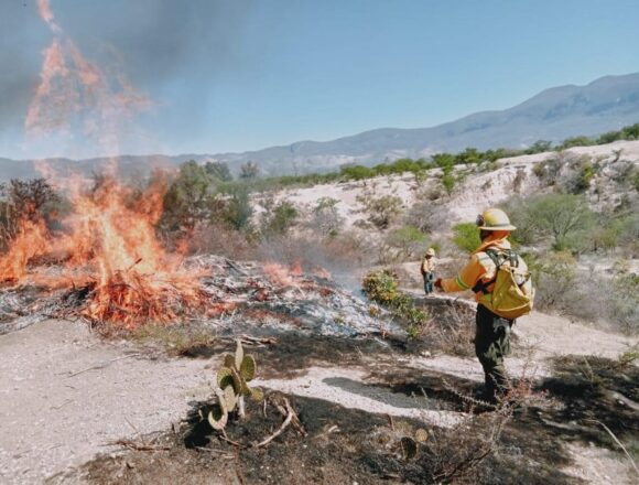 Protegen el Boquerón de Tonalá con apertura de 2 mil 700 metros de línea negra