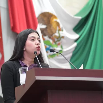 A través de reforma al Código Familiar de Oaxaca se busca que la pensión alimenticia no sea establecida basada en salarios mínimos en los casos de mujeres no asalariadas o que perciben una remuneración informal