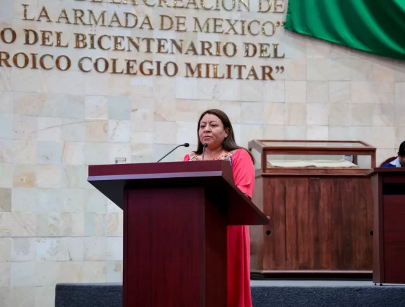 Dip. Melina Hdz Sosa_ (2) Proponen diputadas veda de 90 días en Oaxaca en materia de quema y roza para prevenir incendios forestales y proteger los ecosistemas