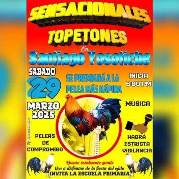 Denuncian pelea de gallos en escuela primaria y exigen intervención de autoridades