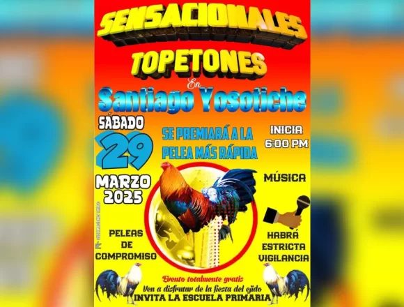Denuncian pelea de gallos en escuela primaria y exigen intervención de autoridades