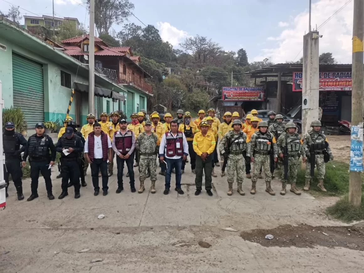 Atiende Coesfo incendio forestal en San Juan Mixtepec