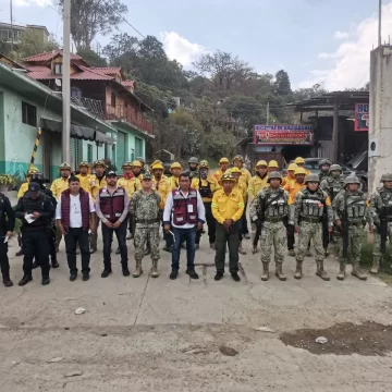 Atiende Coesfo incendio forestal en San Juan Mixtepec