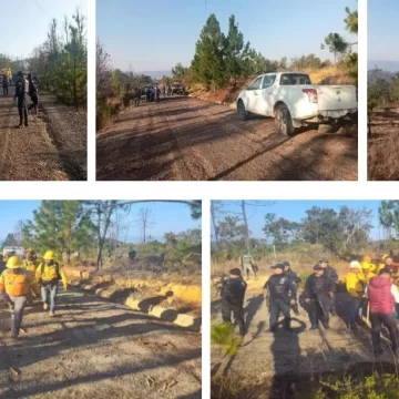 Coadyuva SSPC en el combate a incendio forestal en San Juan Mixtepec