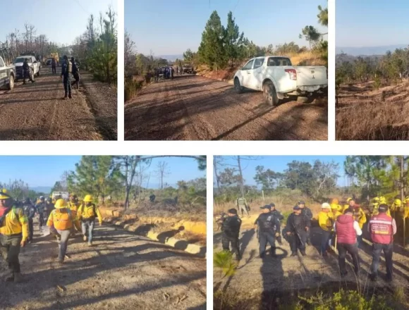 IMG-20250302-WA0014.jpg Coadyuva SSPC en el combate a incendio forestal en San Juan Mixtepec