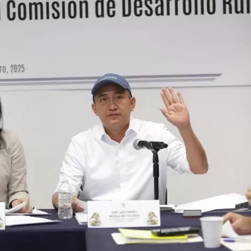 REFORMA QUE PROHÍBE EL MAÍZ TRANSGÉNICO PROTEGE LA SALUD Y LA BIODIVERSIDAD NACIONAL: NINO MORALES