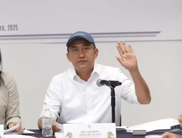 REFORMA QUE PROHÍBE EL MAÍZ TRANSGÉNICO PROTEGE LA SALUD Y LA BIODIVERSIDAD NACIONAL: NINO MORALES