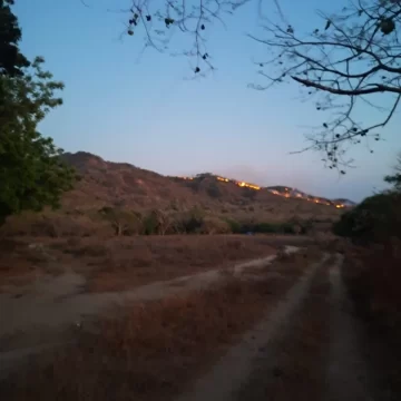 Atiende Coesfo incendio forestal en Reforma de Pineda