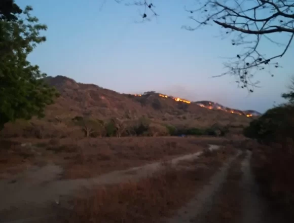 Atiende Coesfo incendio forestal en Reforma de Pineda