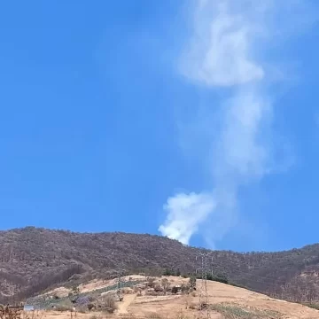 Atiende Coesfo incendio forestal en San Felipe del Agua