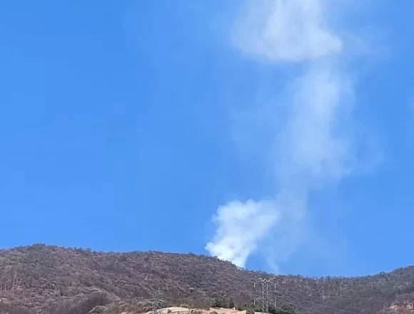 IMG-20250323-WA0004.jpg Atiende Coesfo incendio forestal en San Felipe del Agua