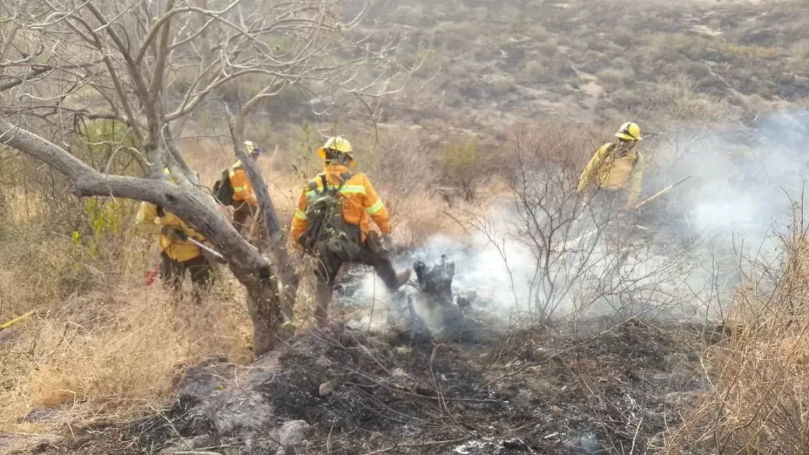 Liquida Coesfo incendio forestal en Santo Tomás Jalieza