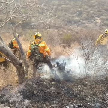 Liquida Coesfo incendio forestal en Santo Tomás Jalieza