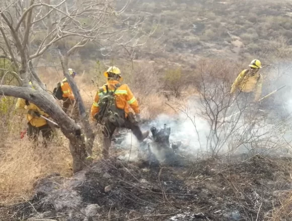 Liquida Coesfo incendio forestal en Santo Tomás Jalieza