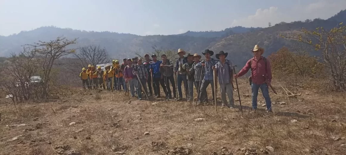 Atiende Coesfo reportes de incendios forestales en la Sierra Sur y Valles Centrales